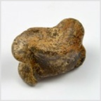 Fossilien aus Ungarn-versteinerter Knochen-Wirbe-unbestimmt 42 mm