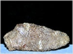 versteinerte koralle orbignygyra-32-russbach
