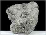 fossilienplatte-180-fossilien_weitendorf