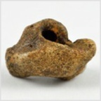 Fossilien aus Ungarn-versteinerter Gehörknochen vom Delphin-24 mm